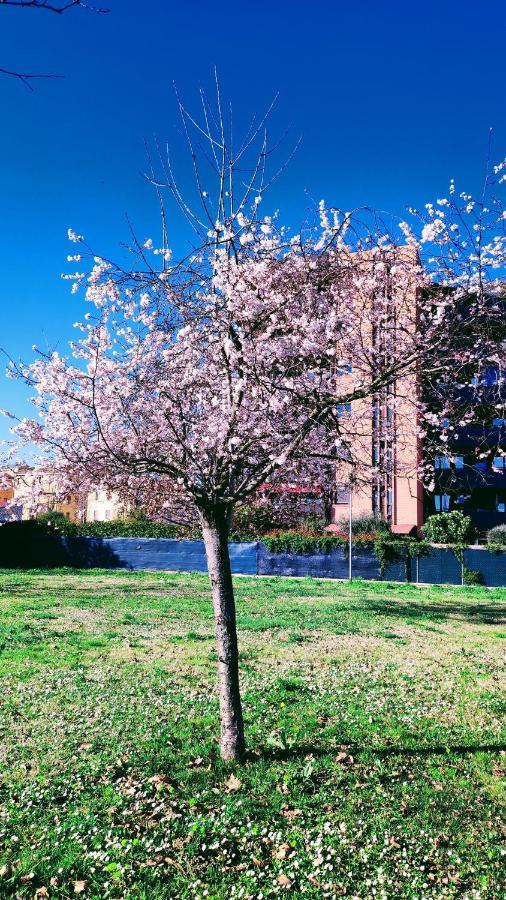 Bologna Vista Parco Apartment 2 Letti Matrimoniali Bagian luar foto